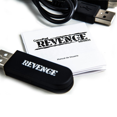 BG Revenge PC/PS3