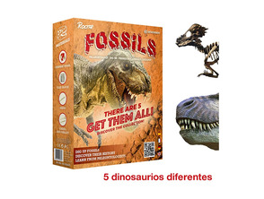 Add to cart Bresser Set of Roctar Fosiles Bresser Set of Roctar Fosiles