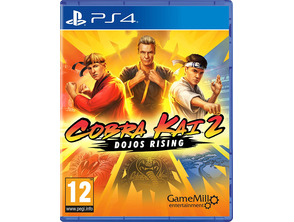 Cobra Kai 2: Dojos Rising PS4
