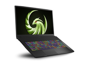 MSI Bravo 17-002XES AMD R7/16GB/1TB/RX5500M/17.3 Portable