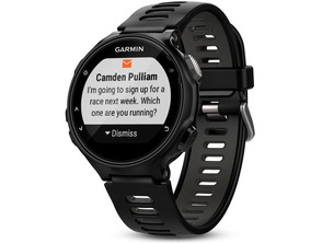 Add to cart Sports watch Garmin Forerunner 735XT 1.23"/Heart rate monitor/GPS Sports watch Garmin Forerunner 735XT 1.23"/Heart rate monitor/GPS