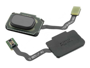 Home Button + Flex Assembly - Samsung Galaxy S9/S9 Plus Grey