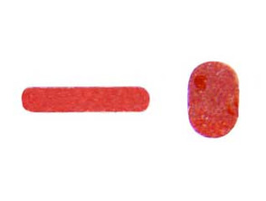 Water Sensor Sticker Set - iPhone 7