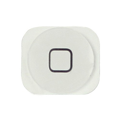 Repair Home Button iPhone 5 White