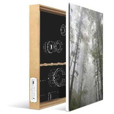 Speaker Energy Sistem Frame Speaker Bluetooth Forrest