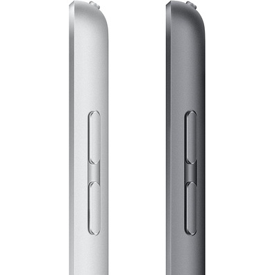 Apple iPad 10.2 2021 9th WiFi 64GB Silver MK2L3TY/A