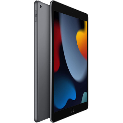 Apple iPad 10.2 '' 2021 Wifi 256 GB Space Grey MK2N3TY/A