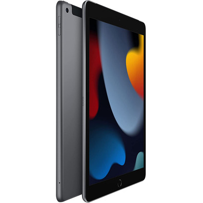 Apple iPad 10.2 2021 Wifi/Cell 256 GB Space Grey MK4E3TY/A