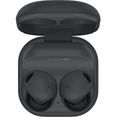 Micro Samsung Galaxy Buds 2 Pro Graphite Headphones