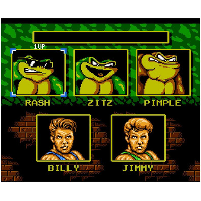 Battletoads & Double Dragon