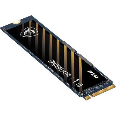 MSI Spatial Hard Disk M390 1TB M2 SSD PCIE3