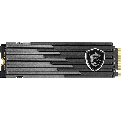 MSI Spatial M480 Play M2 SSD 1TB PCIE4