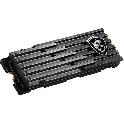 MSI Spatial M480 Play M2 SSD 1TB PCIE4