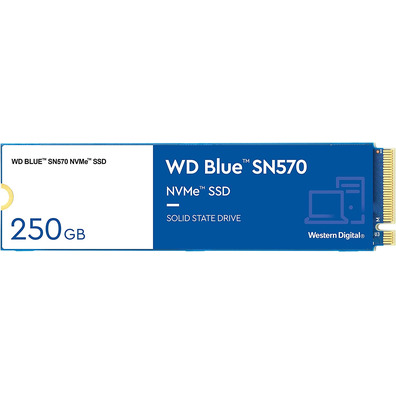 Western Digital Hard Disk Blue SN570 250GB M2 SSD PCIE3 NVME