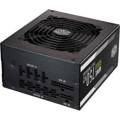 AX 750W Coolermaster MWE Gold V2 Power Supply