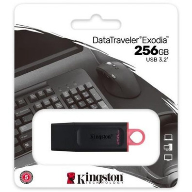 Kingston DataTraveler Exodia USB 3.2 256 GB