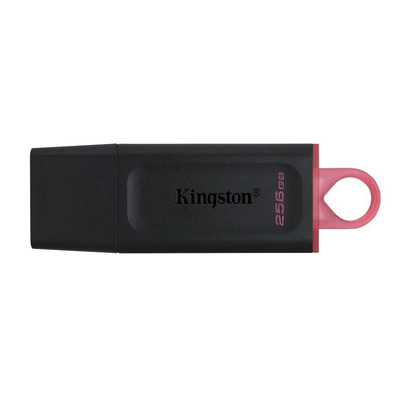 Kingston DataTraveler Exodia USB 3.2 256 GB