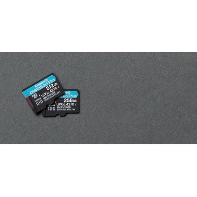 Kingston 256 GB MicroSD MicroSD Class 10 UHS-I Memory