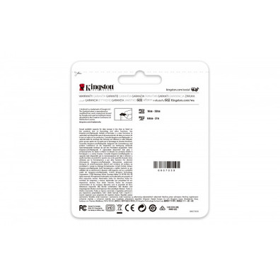 Kingston 256 GB MicroSD MicroSD Class 10 UHS-I Memory