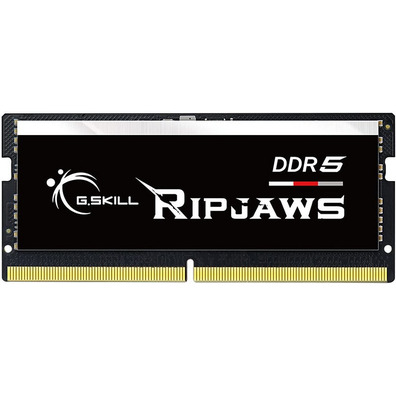 G. Skill Ripjaws S/O 16GB 4800 MHz DDR5 RAM