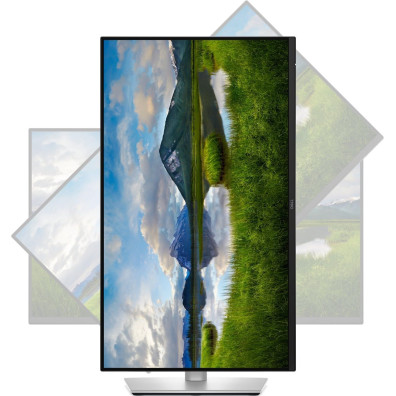 Dell Pro Plus P2425D 23.8 "QHD IPS 100Hz Monitor
