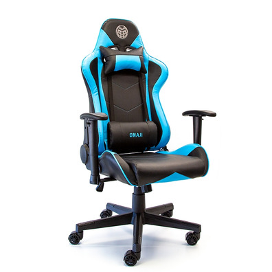 Chair Gaming Onaji Asura Pro Carbon 2D Blue