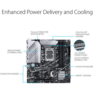 ASUS 1700 Prime Z790M-Plus D4 Base Plate