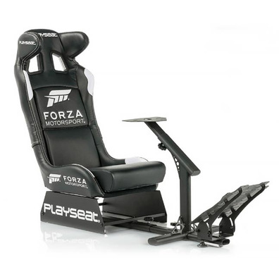 The Playseat Forza Motorsport