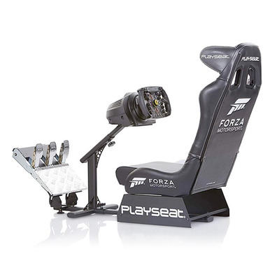 The Playseat Forza Motorsport