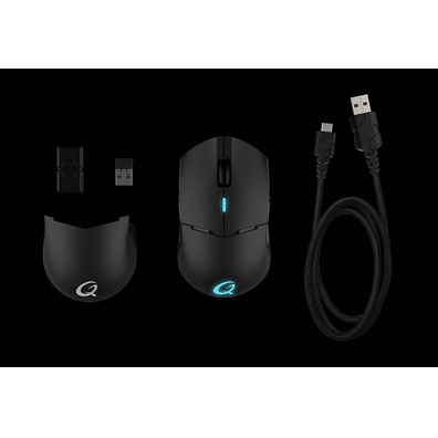 Gaming QPAD DX 900 Wireless Mouse