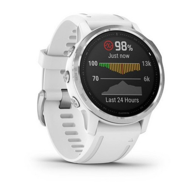 GPS Garmin Fenix 6S Silver/White Watch