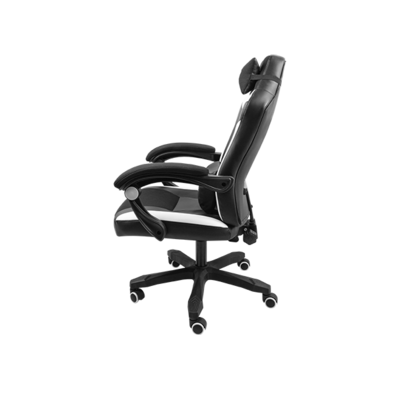 Chair Gaming Fury Avenger M + Negra/Blanca