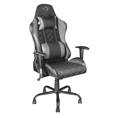 Chair Gaming Trust GTX 707 Rest Grey
