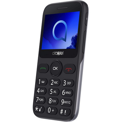 Alcatel 2019G smartphone for seniors Silver