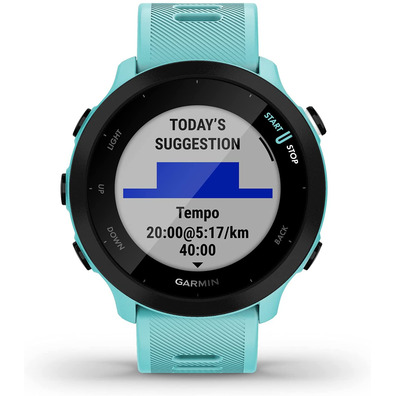 Smartwatch Garmin Forerunner 55 Blue