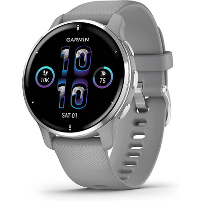 Smartwatch Garmin Venu 2 Plus GPS Silver and Gris