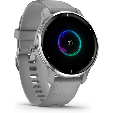 Smartwatch Garmin Venu 2 Plus GPS Silver and Gris
