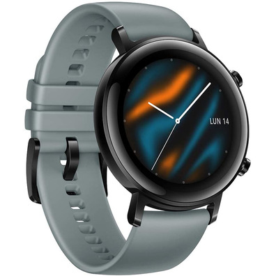 Smartwatch Huawei GT2 Sport 42 mm Blue Grey