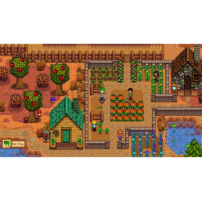 Stardew Valley Switch