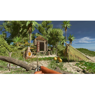 Stranded Deep Switch