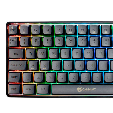GAMIAC TKL90G Mechanical Keyboard - Kailh Blue - Black / Grey - (ES)