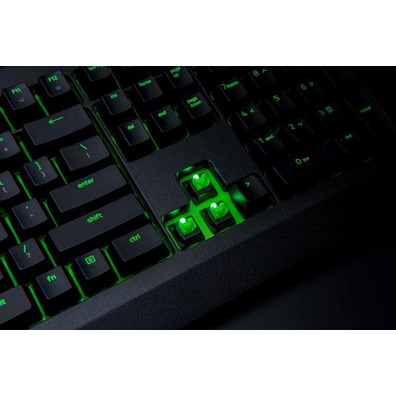 Keyboard Razer Blackwidow Green Switch