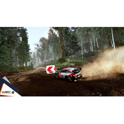 WRC 10-The Official Game Switch