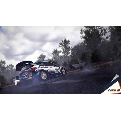 WRC 10-The Official Game Switch