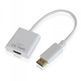 Adapter Display Port to Hdmi Approx