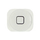 Repair Home Button iPhone 5 White