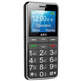 Aeg Senior Mobile Phone M250