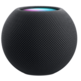 Smart Speaker Apple HomePod mini Space Grey