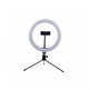 Ring for Selfies Flux Saturn 12 ''