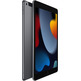 Apple iPad 10.2 2021 Wifi/Cell 256 GB Space Grey MK4E3TY/A